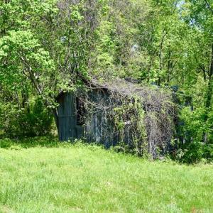 Photo #42 of SOLD property in 1532 Wideview Drive, Thaxton, VA 5.2 acres