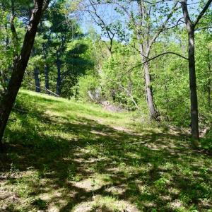 Photo #43 of SOLD property in 1532 Wideview Drive, Thaxton, VA 5.2 acres