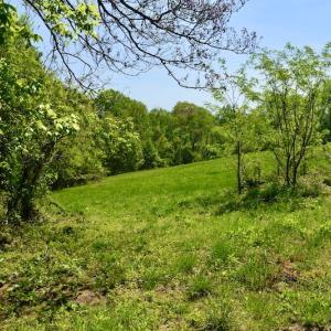 Photo #44 of SOLD property in 1532 Wideview Drive, Thaxton, VA 5.2 acres
