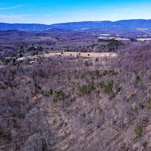 Photo #13 of SOLD property in Off Cripple Creek Road, Afton, VA 4.9 acres