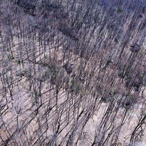 Photo #15 of SOLD property in Off Cripple Creek Road, Afton, VA 4.9 acres