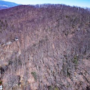 Photo #16 of SOLD property in Off Cripple Creek Road, Afton, VA 4.9 acres