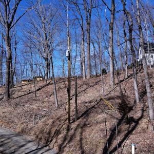 Photo #18 of SOLD property in Off Cripple Creek Road, Afton, VA 4.9 acres