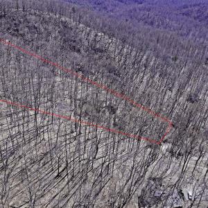 Photo #2 of SOLD property in Off Cripple Creek Road, Afton, VA 4.9 acres