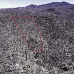 Photo #3 of SOLD property in Off Cripple Creek Road, Afton, VA 4.9 acres