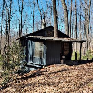 Photo #4 of SOLD property in Off Cripple Creek Road, Afton, VA 4.9 acres