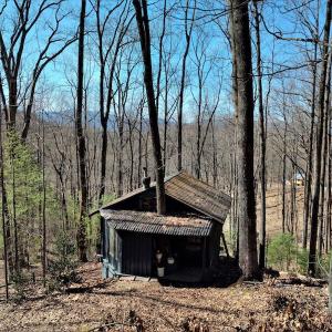 Photo #5 of SOLD property in Off Cripple Creek Road, Afton, VA 4.9 acres