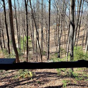 Photo #10 of SOLD property in Off Cripple Creek Road, Afton, VA 4.9 acres