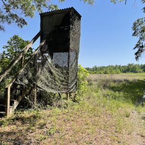 Photo #2 of SOLD property in Off State Highway 13, Florence, SC 92.2 acres