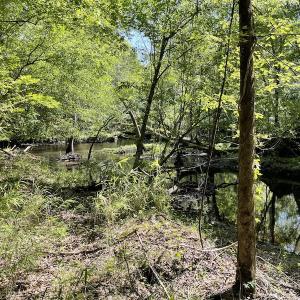 Photo #10 of SOLD property in Off State Highway 13, Florence, SC 92.2 acres