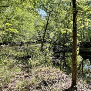 Photo #10 of Off State Highway 13, Florence, SC 92.2 acres