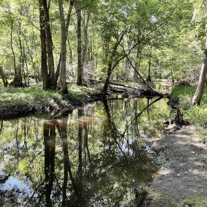 Photo #11 of SOLD property in Off State Highway 13, Florence, SC 92.2 acres