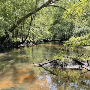 Photo #13 of SOLD property in Off State Highway 13, Florence, SC 92.2 acres