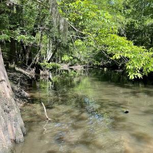 Photo #14 of SOLD property in Off State Highway 13, Florence, SC 92.2 acres