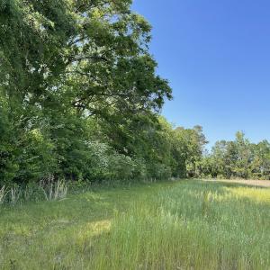 Photo #21 of SOLD property in Off State Highway 13, Florence, SC 92.2 acres