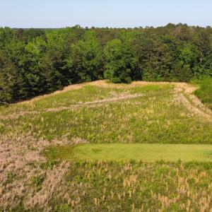 Photo #22 of SOLD property in Off State Highway 13, Florence, SC 92.2 acres