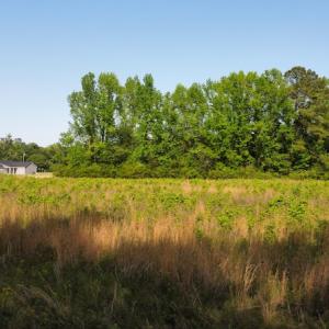 Photo #23 of SOLD property in Off State Highway 13, Florence, SC 92.2 acres