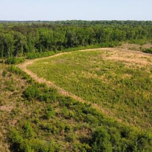 Photo #24 of SOLD property in Off State Highway 13, Florence, SC 92.2 acres