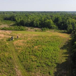 Photo #25 of SOLD property in Off State Highway 13, Florence, SC 92.2 acres