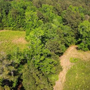 Photo #28 of SOLD property in Off State Highway 13, Florence, SC 92.2 acres