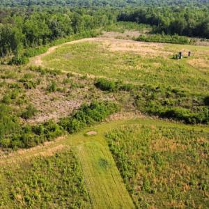 Photo #29 of SOLD property in Off State Highway 13, Florence, SC 92.2 acres