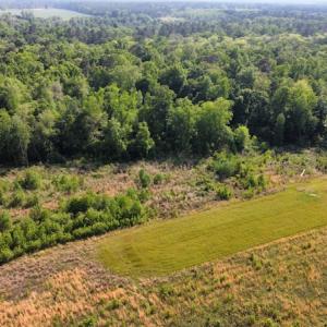 Photo #32 of Off State Highway 13, Florence, SC 92.2 acres