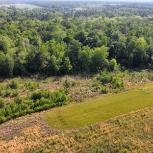 Photo #32 of SOLD property in Off State Highway 13, Florence, SC 92.2 acres
