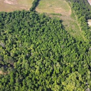 Photo #34 of SOLD property in Off State Highway 13, Florence, SC 92.2 acres