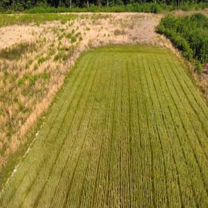 Photo #35 of SOLD property in Off State Highway 13, Florence, SC 92.2 acres