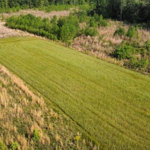 Photo #36 of SOLD property in Off State Highway 13, Florence, SC 92.2 acres