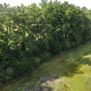 Photo #38 of SOLD property in Off State Highway 13, Florence, SC 92.2 acres