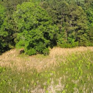 Photo #39 of SOLD property in Off State Highway 13, Florence, SC 92.2 acres