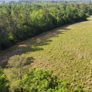 Photo #40 of SOLD property in Off State Highway 13, Florence, SC 92.2 acres