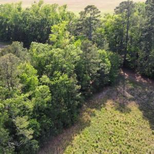 Photo #41 of SOLD property in Off State Highway 13, Florence, SC 92.2 acres