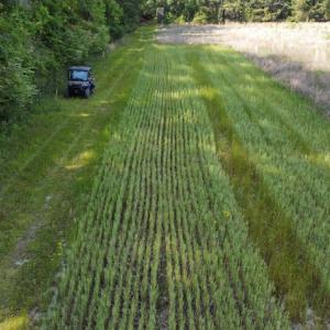 Photo #44 of SOLD property in Off State Highway 13, Florence, SC 92.2 acres