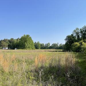 Photo #47 of SOLD property in Off State Highway 13, Florence, SC 92.2 acres