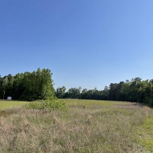 Photo #48 of SOLD property in Off State Highway 13, Florence, SC 92.2 acres