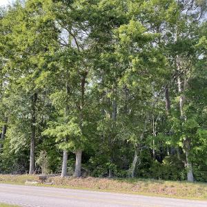 Photo #50 of SOLD property in Off State Highway 13, Florence, SC 92.2 acres