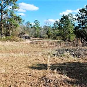 Photo #8 of SOLD property in Off US 17 / Harriet Lane, Pollocksville, NC 5.1 acres