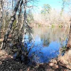 Photo #9 of SOLD property in Off US 17 / Harriet Lane, Pollocksville, NC 5.1 acres