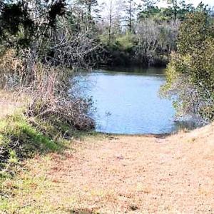 Photo #10 of SOLD property in Off US 17 / Harriet Lane, Pollocksville, NC 5.1 acres