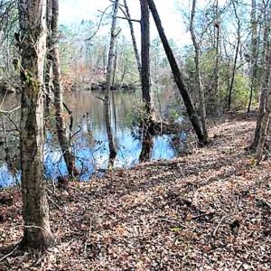 Photo #11 of SOLD property in Off US 17 / Harriet Lane, Pollocksville, NC 5.1 acres
