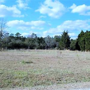Photo #12 of SOLD property in Off US 17 / Harriet Lane, Pollocksville, NC 5.1 acres