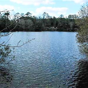 Photo #13 of SOLD property in Off US 17 / Harriet Lane, Pollocksville, NC 5.1 acres