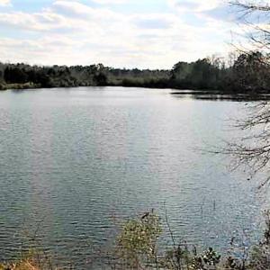 Photo #14 of SOLD property in Off US 17 / Harriet Lane, Pollocksville, NC 5.1 acres