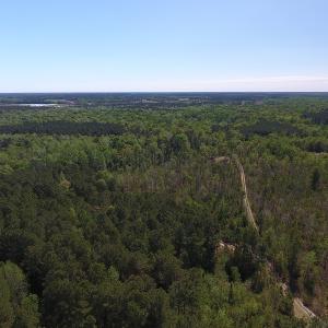Photo #11 of NC 210 Hwy W, Garland, NC 166.0 acres