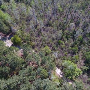 Photo #12 of NC 210 Hwy W, Garland, NC 166.0 acres