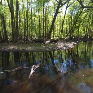 Photo #13 of NC 210 Hwy W, Garland, NC 166.0 acres