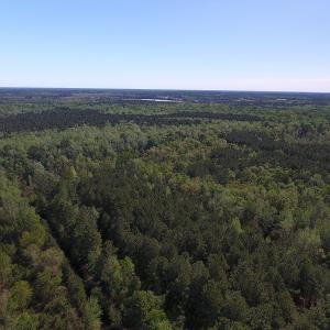 Photo #14 of NC 210 Hwy W, Garland, NC 166.0 acres