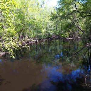Photo #15 of NC 210 Hwy W, Garland, NC 166.0 acres